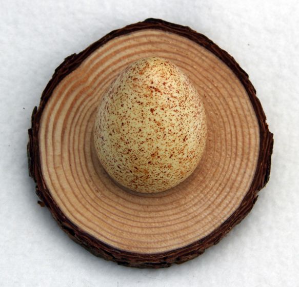 Natural Pine Egg Stand: Extra Large.
