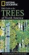 National Geographic Field Guide To The Trees Of North America