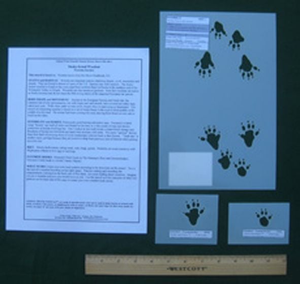 Wood Rat Tracking Stencils