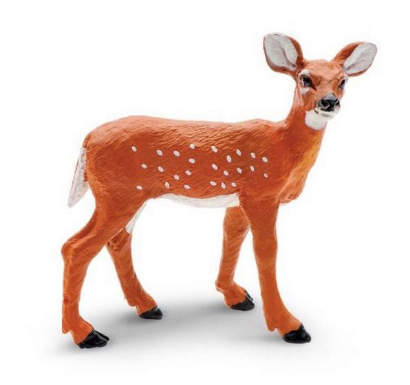 Deer (Whitetail) Fawn Model