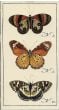 Vintage-Style Butterfly Matchbox