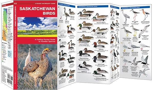 Saskatchewan Birds (Pocket Naturalist® Guide)