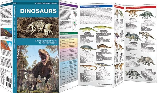 Dinosaurs, 2nd Edition: A Folding Pocket Guide to Familiar Species (Pocket Naturalist® Guide)