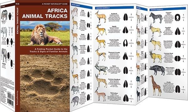 Africa Animal Tracks (Pocket Naturalist® Guide)