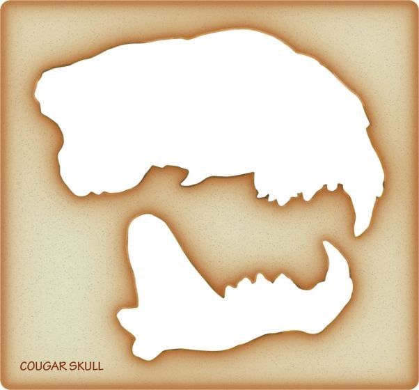 Cougar Trace-A-Skull® Template