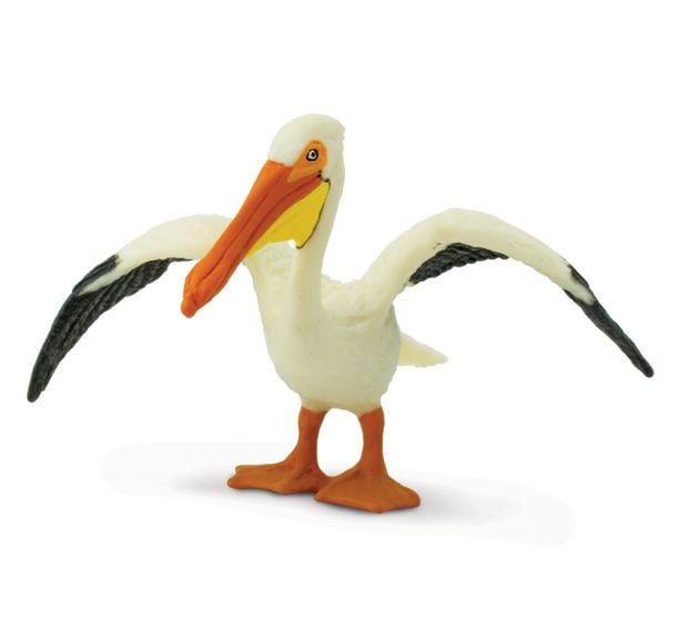 Pelican (White) Model