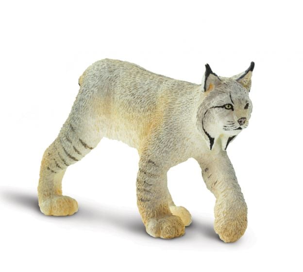 Lynx Model