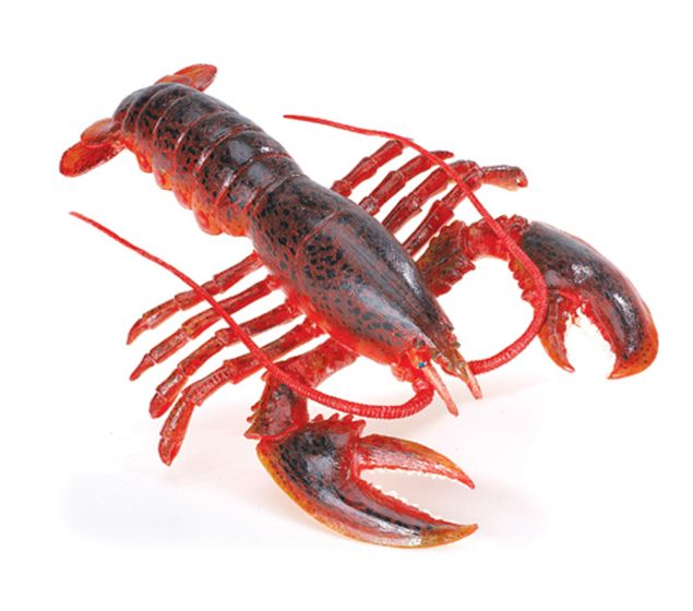 Lobster Model
