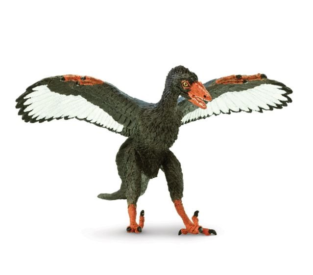 Archaeopteryx Model