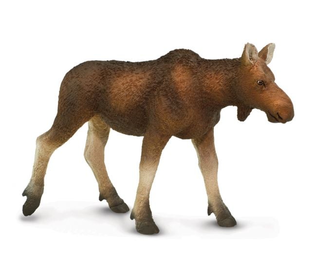 Moose (Cow) Model