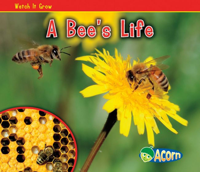 Bee's Life