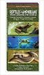 Reptiles & Amphibians from Around the World: Folding Pocket Guides to Turtles, Lizards, Snakes, Frogs and Toads (Our Living Earth® Series)