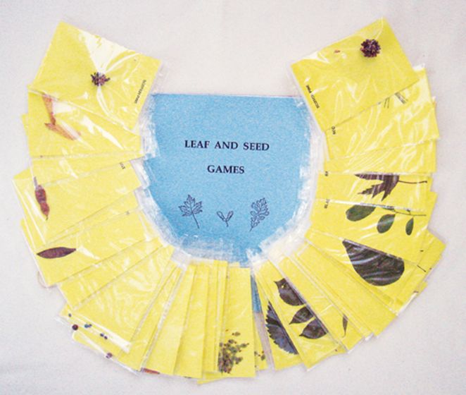 Leaf And Seed Identification Games