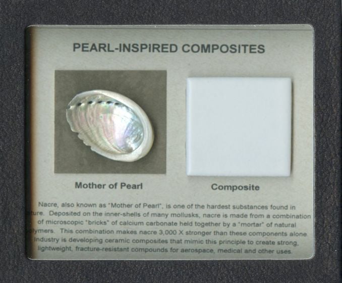 Biomimicry Display Set