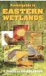 Pocket Guide To Eastern Wetlands