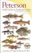 Freshwater Fishes Of North America North Of Mexico (Peterson Field Guide)