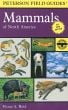 Mammals Of North America (Peterson Field Guide)