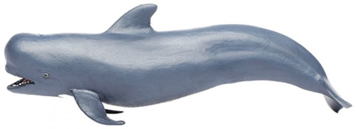 Whale (Pilot) Model