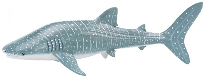 Shark (Whale) Model