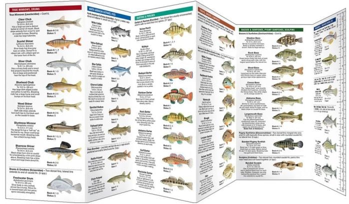 Alabama Freshwater Fishes (Pocket Naturalist® Guide)