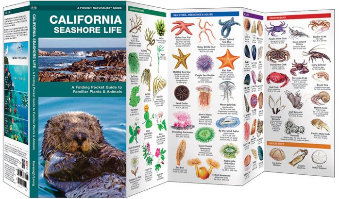 California Seashore Life (Pocket Naturalist® Guide)