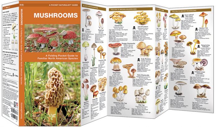 Mushrooms (Pocket Naturalist® Guide).