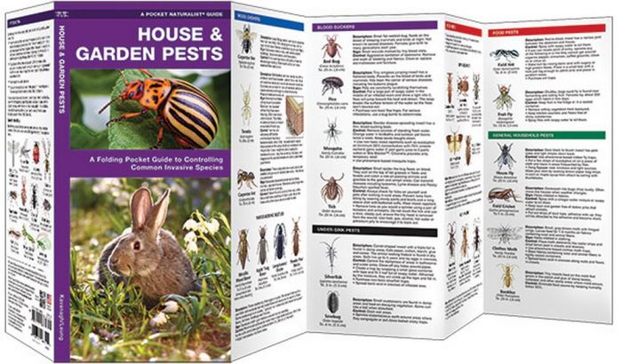 House & Garden Pests (Pocket Naturalist® Guide)