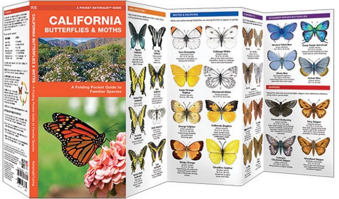 California Butterflies & Moths (Pocket Naturalist® Guide)