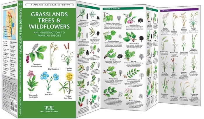 Grassland Trees & Wildflowers (Pocket Naturalist® Guide).