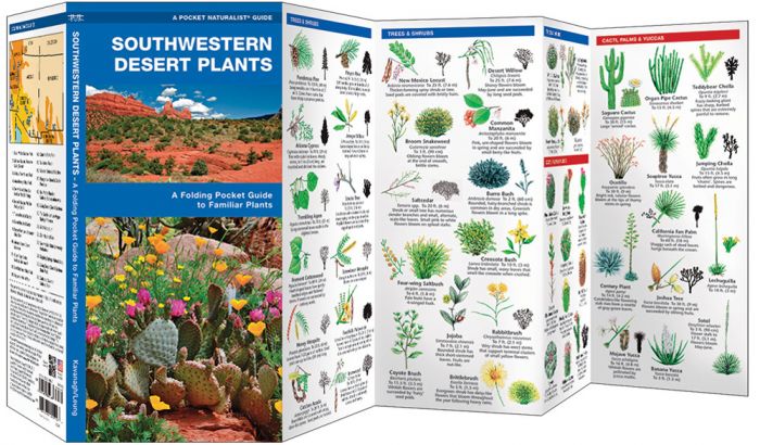 Southwestern Desert Plants (Pocket Naturalist® Guide)
