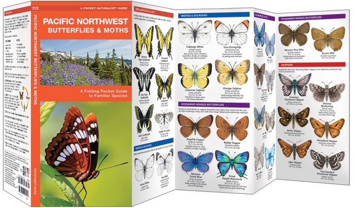 Pacific Northwest Butterflies & Moths (Pocket Naturalist® Guide).
