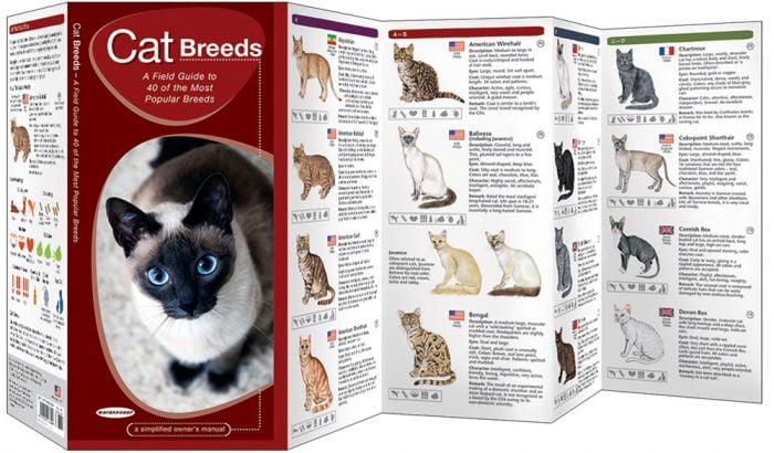 Cat Breeds (Pocket Naturalist® Guide)