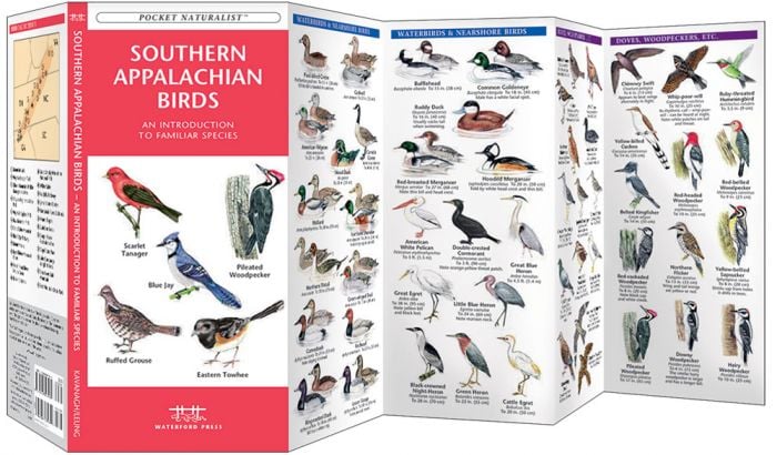 Southern Appalachian Birds (Pocket Naturalist® Guide).