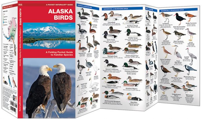 Alaska Birds (Pocket Naturalist® Guide)