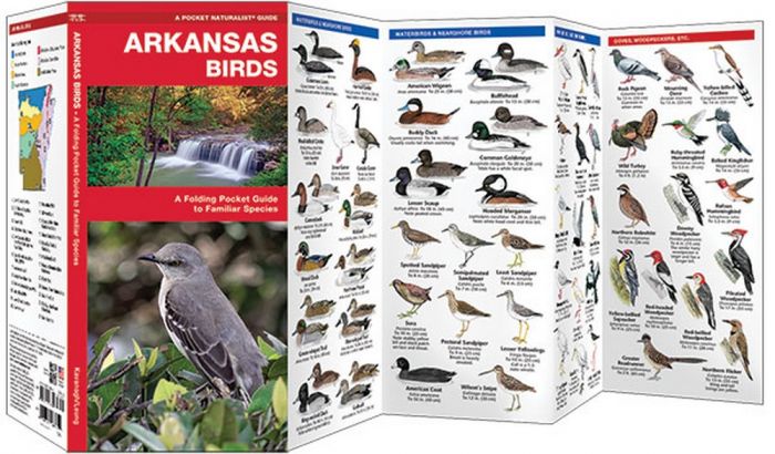 Arkansas Birds (Pocket Naturalist® Guide)