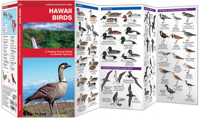 Hawaii Birds (Pocket Naturalist® Guide).