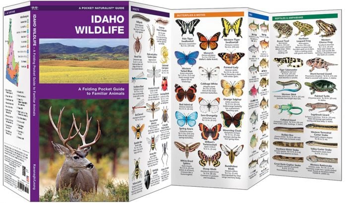Idaho Wildlife (Pocket Naturalist® Guide).