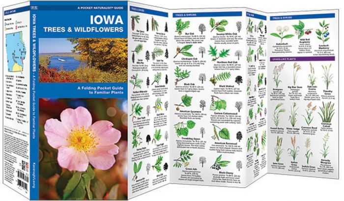 Iowa Trees & Wildflowers (Pocket Naturalist® Guide)