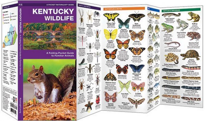 Kentucky Wildlife (Pocket Naturalist® Guide)