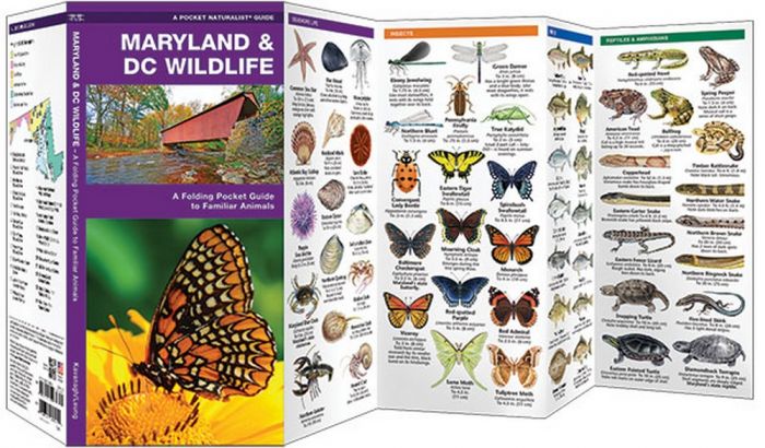 Maryland & DC Wildlife (Pocket Naturalist® Guide)