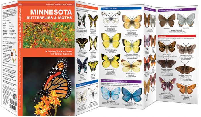 Minnesota Butterflies & Moths (Pocket Naturalist® Guide)