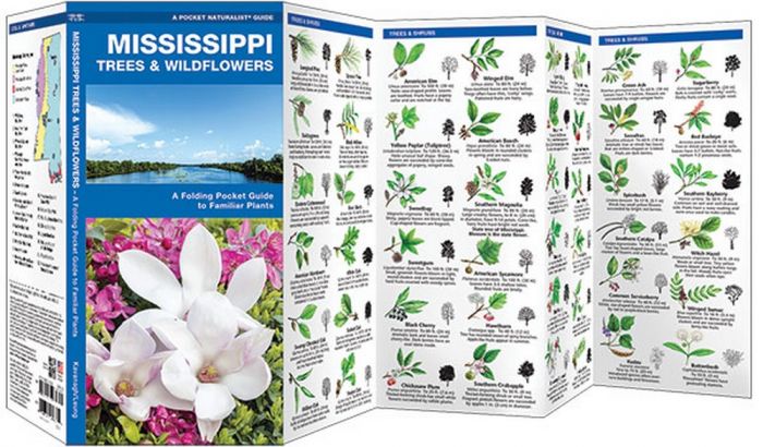 Mississippi Trees & Wildflowers (Pocket Naturalist® Guide)