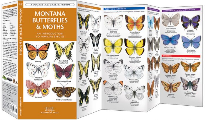 Montana Butterflies & Moths (Pocket Naturalist® Guide).