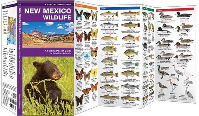 New Mexico Wildlife (Pocket Naturalist® Guide)
