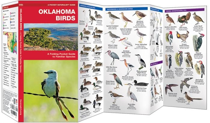 Oklahoma Birds (Pocket Naturalist® Guide)