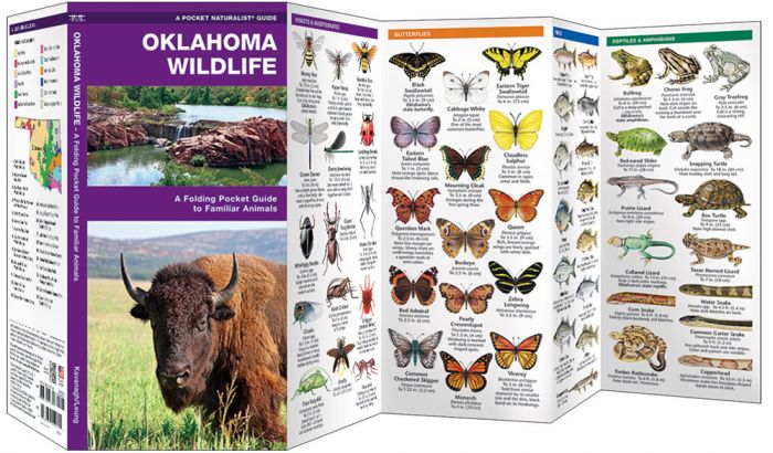 Oklahoma Wildlife (Pocket Naturalist® Guide)