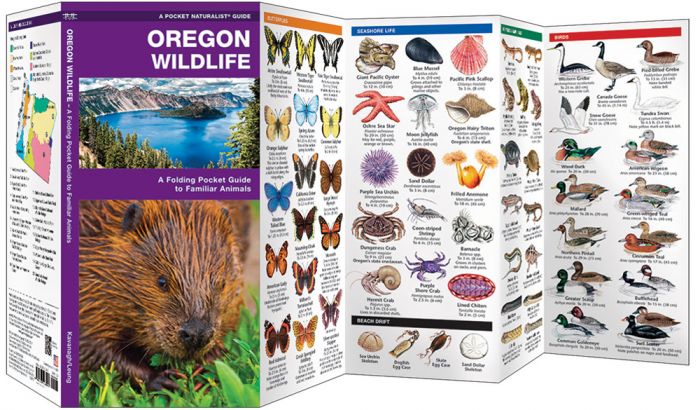 Oregon Wildlife (Pocket Naturalist® Guide).