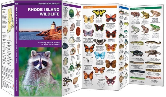 Rhode Island Wildlife (Pocket Naturalist® Guide).