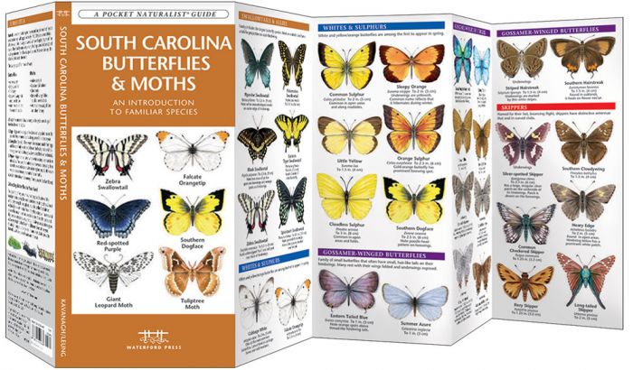 South Carolina Butterflies & Moths (Pocket Naturalist® Guide).