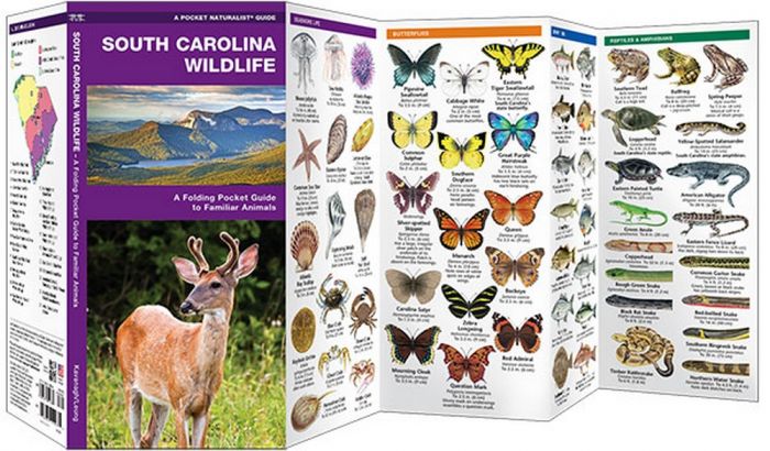 South Carolina Wildlife (Pocket Naturalist® Guide)